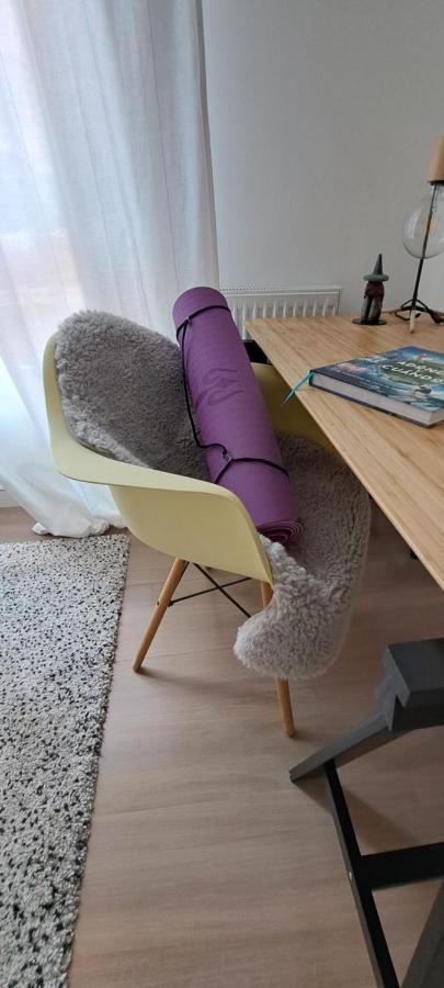 Apartamento Con Suite, Zona De Trabajo Y Yoga Wifi Y Garaje 乌迪亚莱斯堡 外观 照片